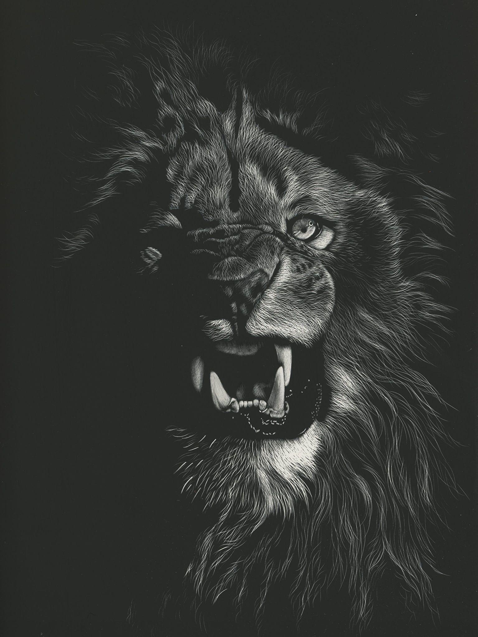 Angry lion art HD wallpapers  Pxfuel