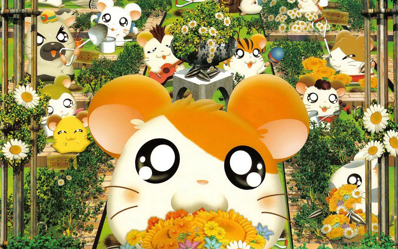 Hamtaro HD Wallpaper