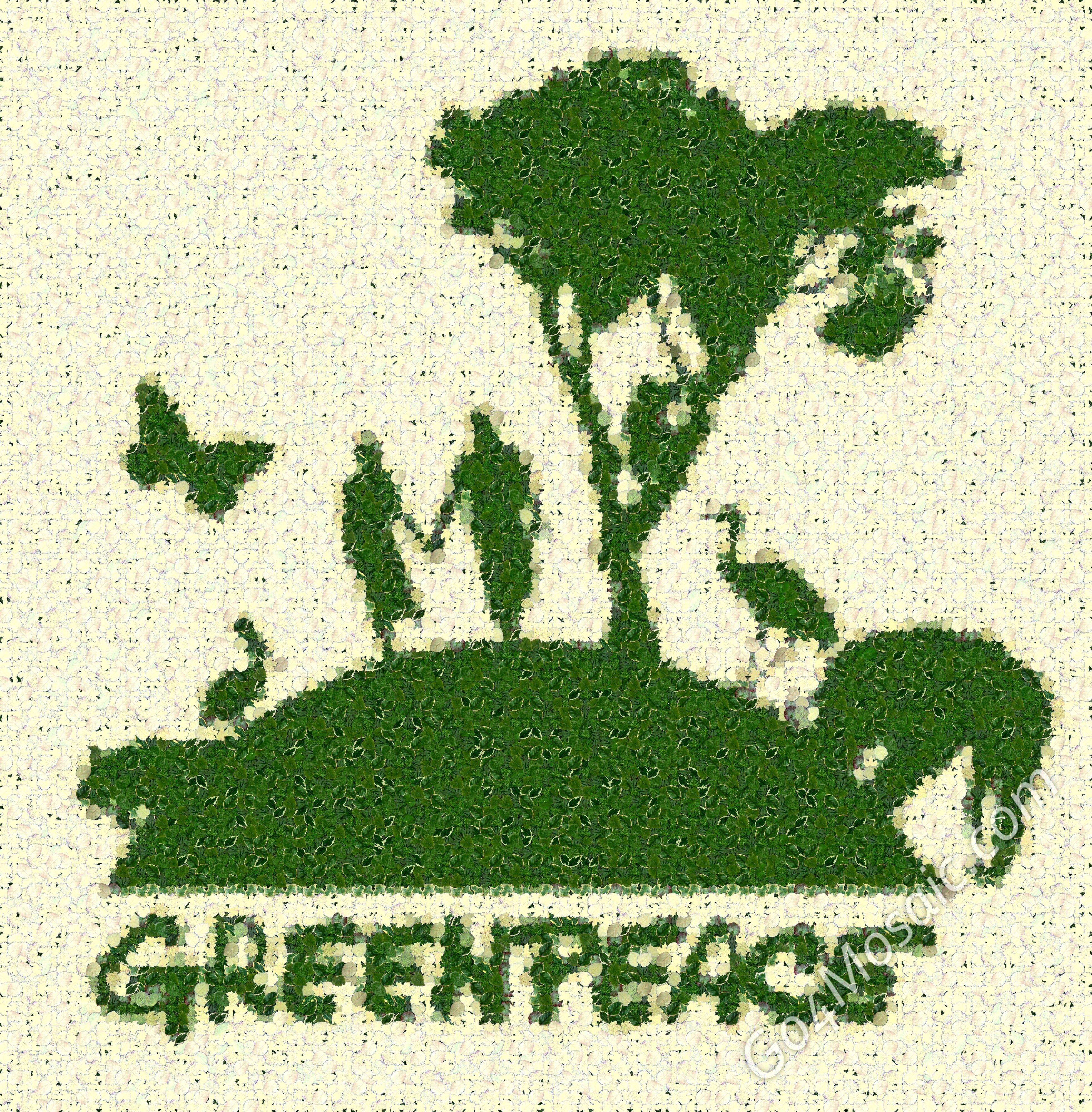 Wide HD Greenpeace Wallpaper. FLGX HD.09 KB