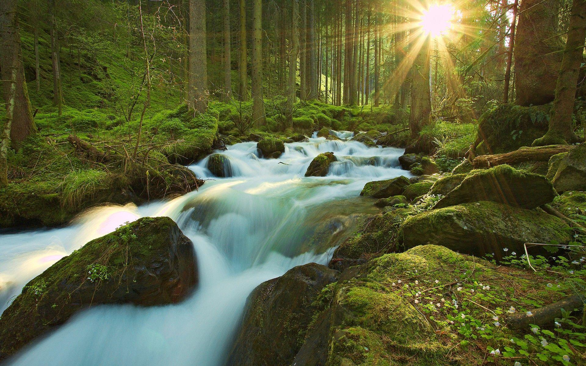 Free HD Nature Wallpaper
