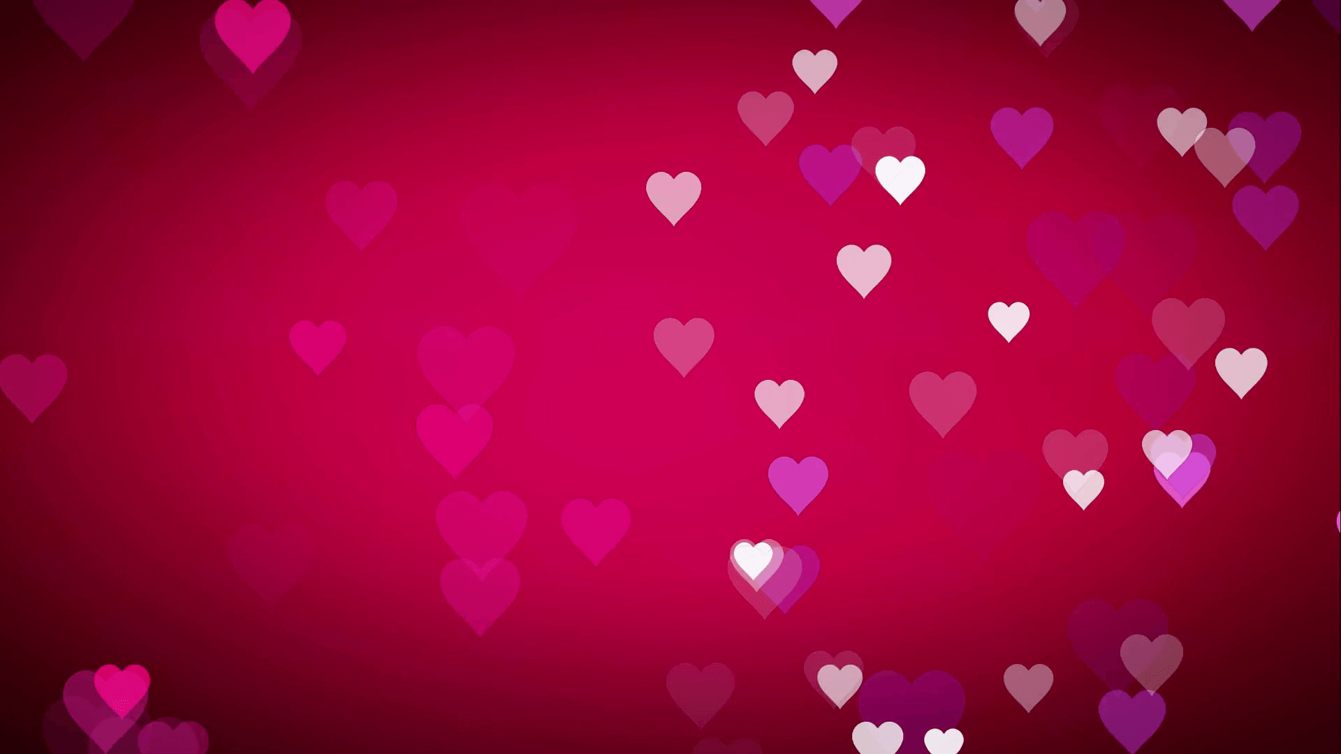 Animated many moving small pink purple white hearts on pink black