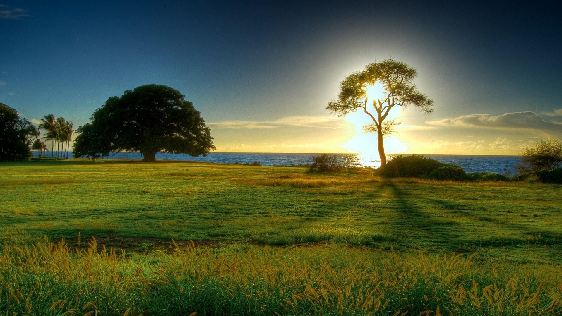 Farm backgroundDownload free stunning full HD background