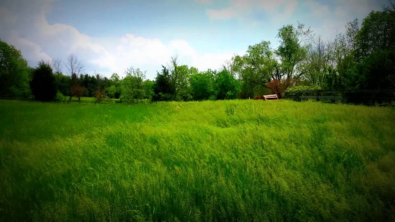 Kentucky Farm in the Spring Video
