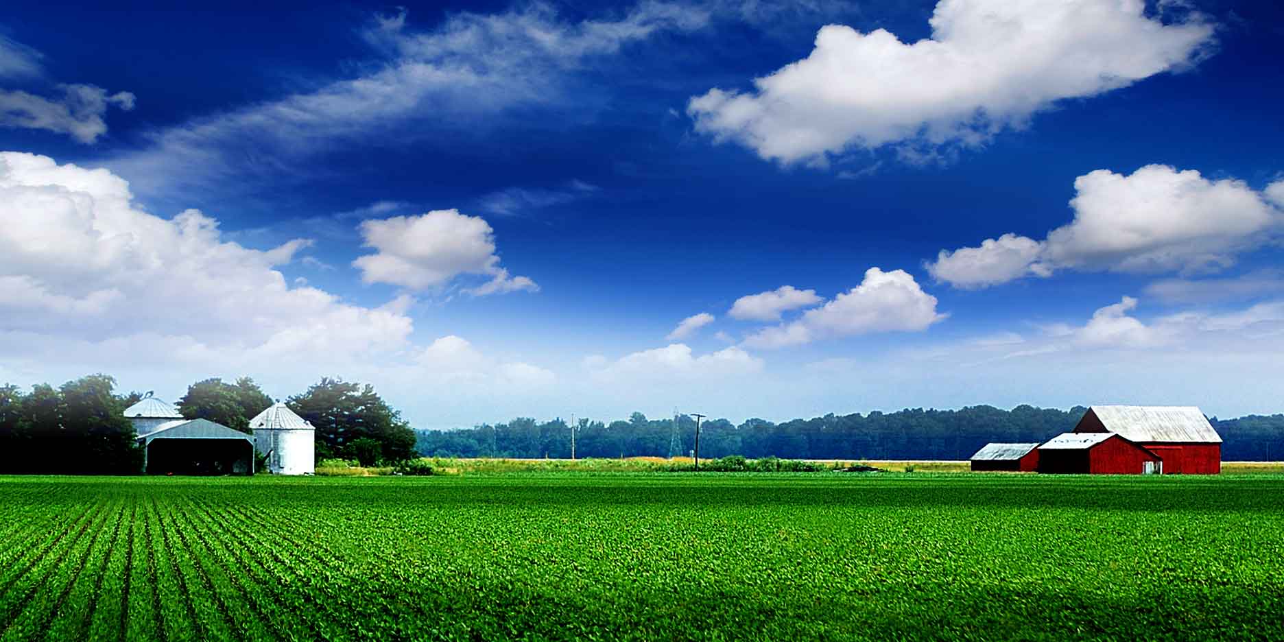 agriculture field wallpaper