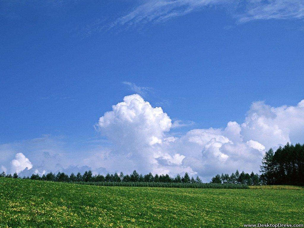 Desktop Wallpaper Natural Background Green Farm and Clouds