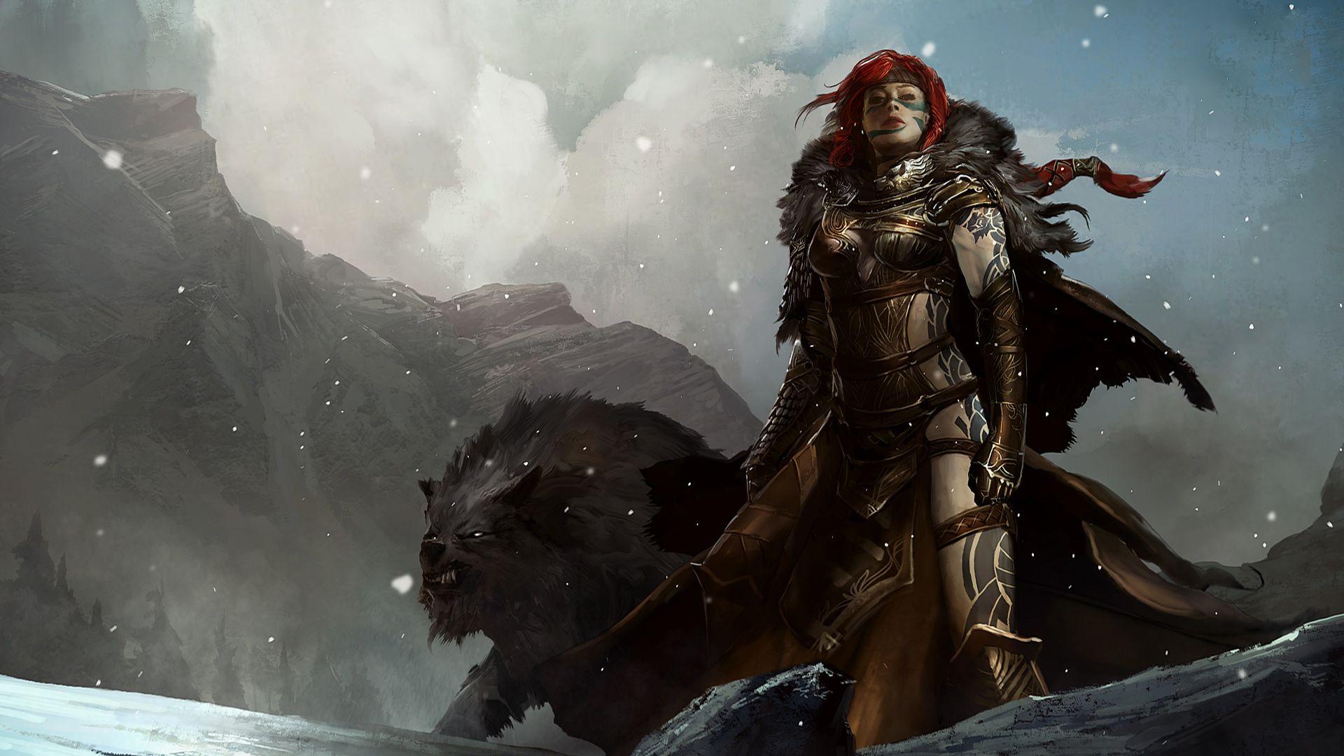 fantasy, warriors, Guild Wars 2, Norn wallpaper