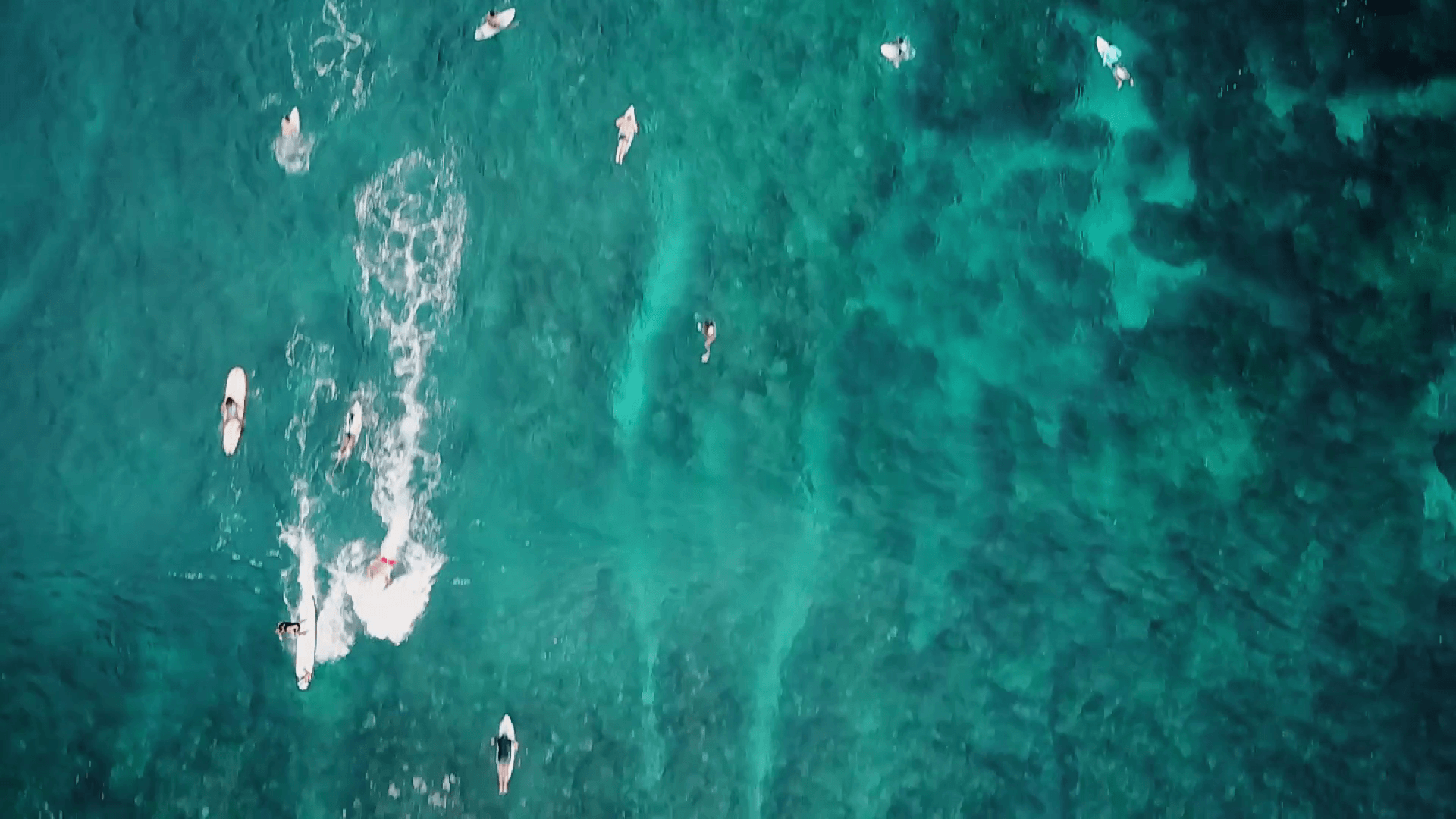 Aerial shot from top of surfer riding a wave on a longboard, walking