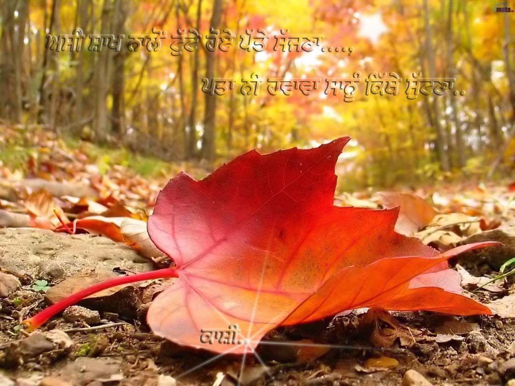 Punjabi Sad Picture, Image, Photo