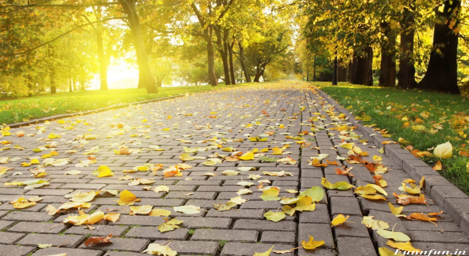 New Wallpaper Full HD. (31++ Wallpaper)