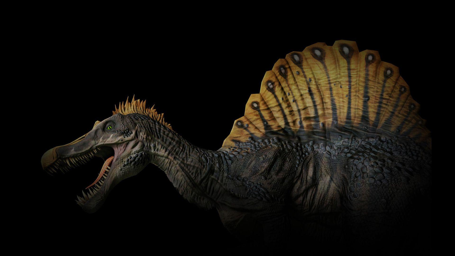 Spinosaurus Wallpaper (74+ pictures)