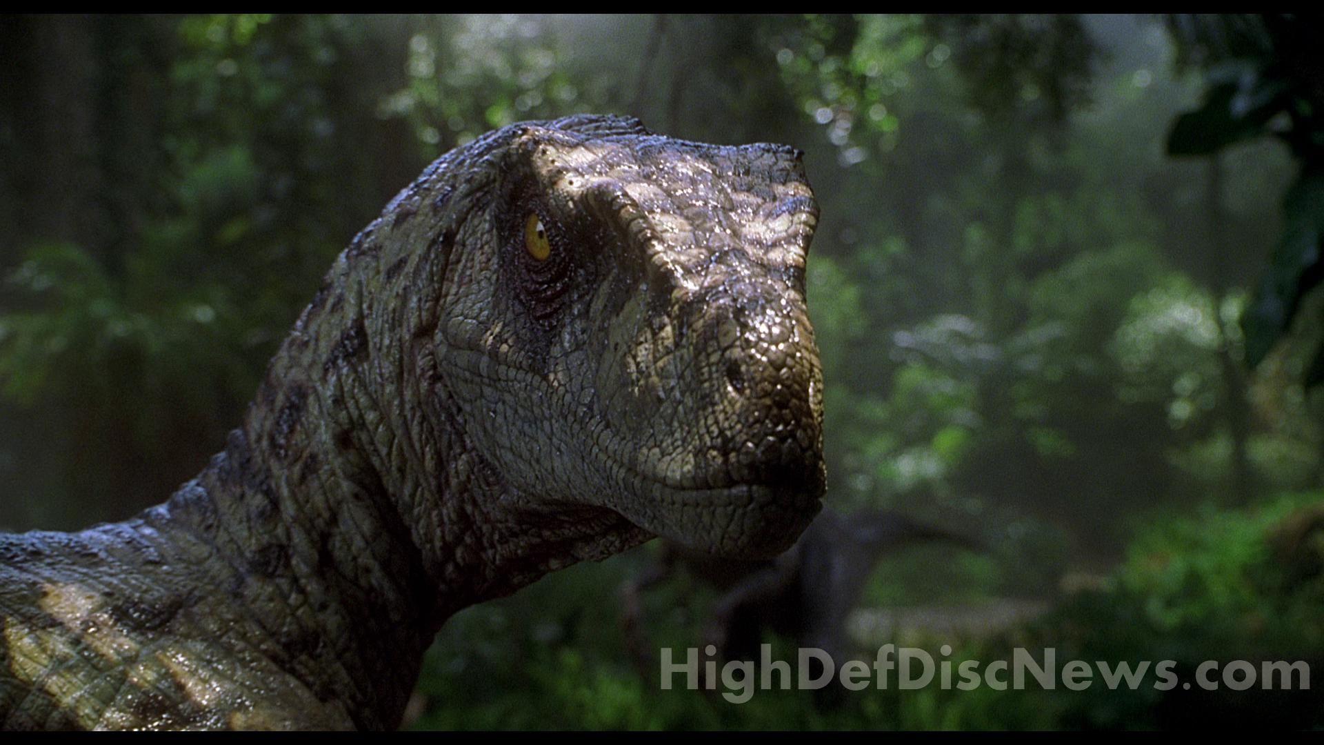 Jurassic Park Spinosaurus Wallpaper Best Cool Wallpaper HD. HD