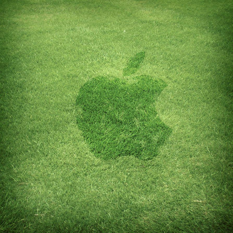 apple wallpaper grass