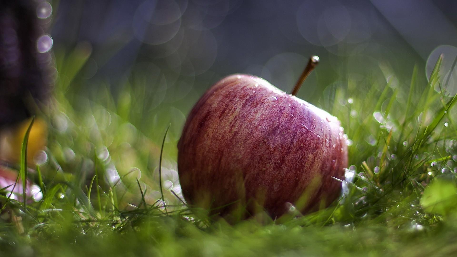 Apple Wallpapers Grass Wallpaper Cave