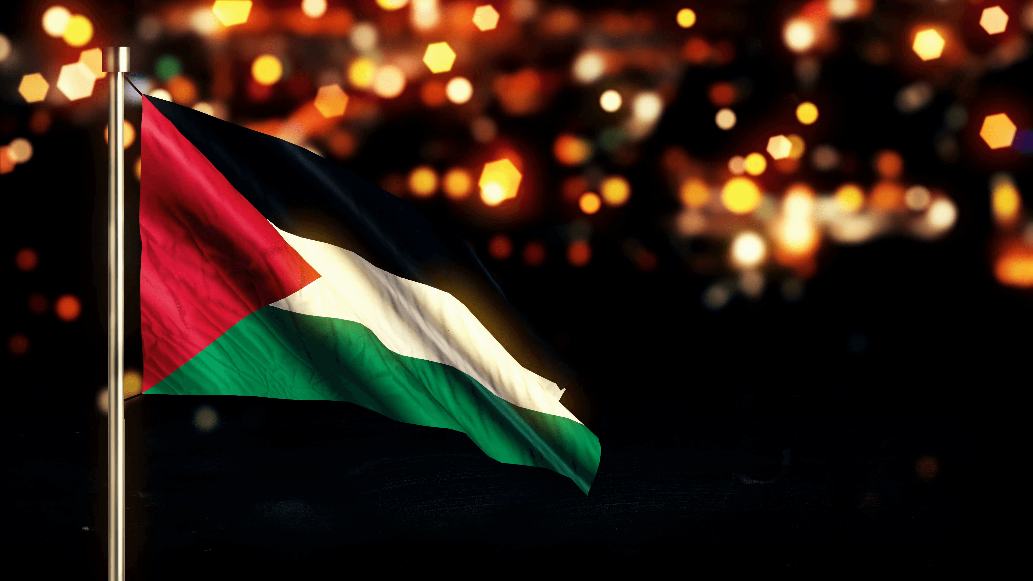 Palestine National Flag City Light Night Bokeh Loop Animation