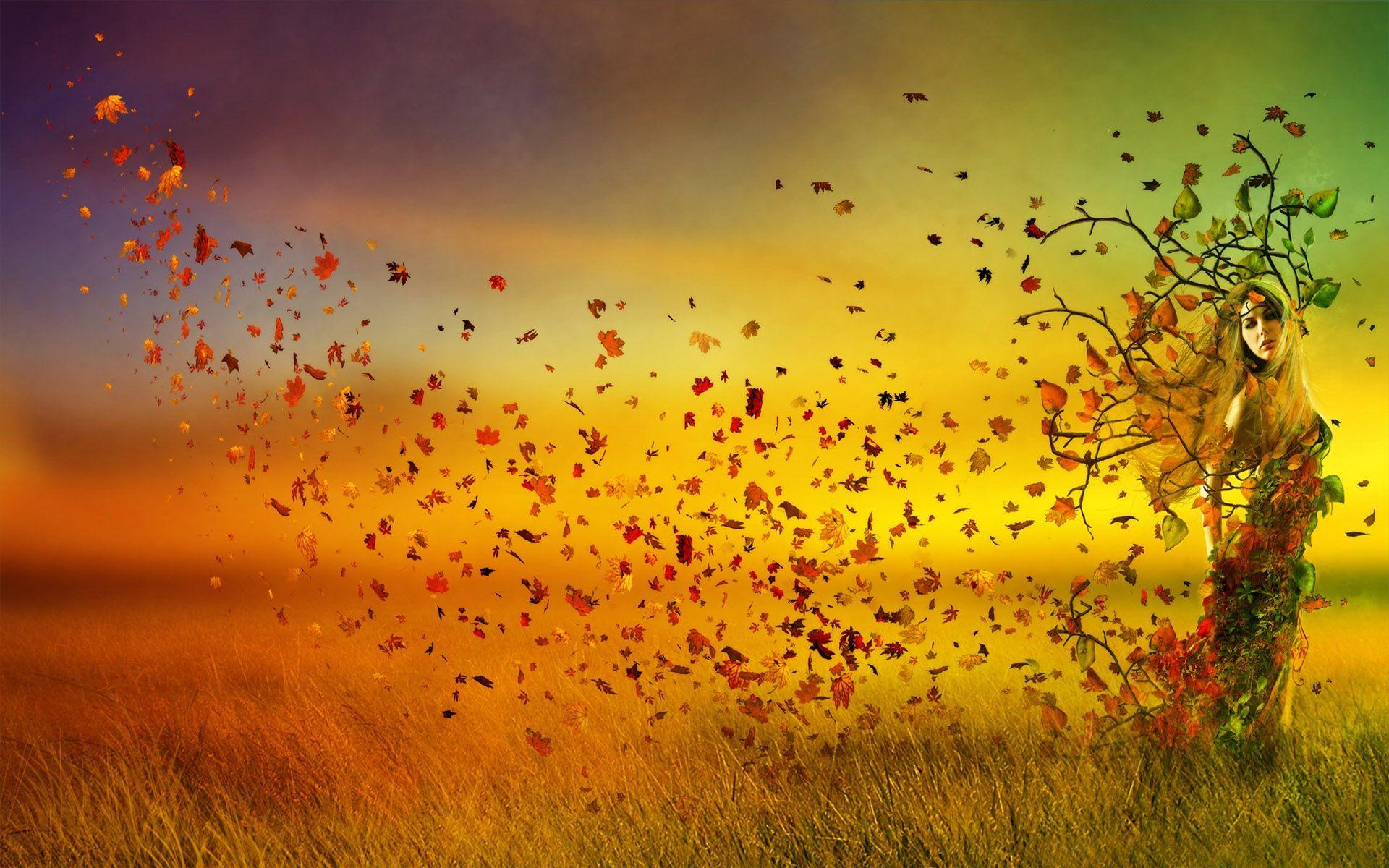 Beautiful Auntumn Wallpaper Desktop