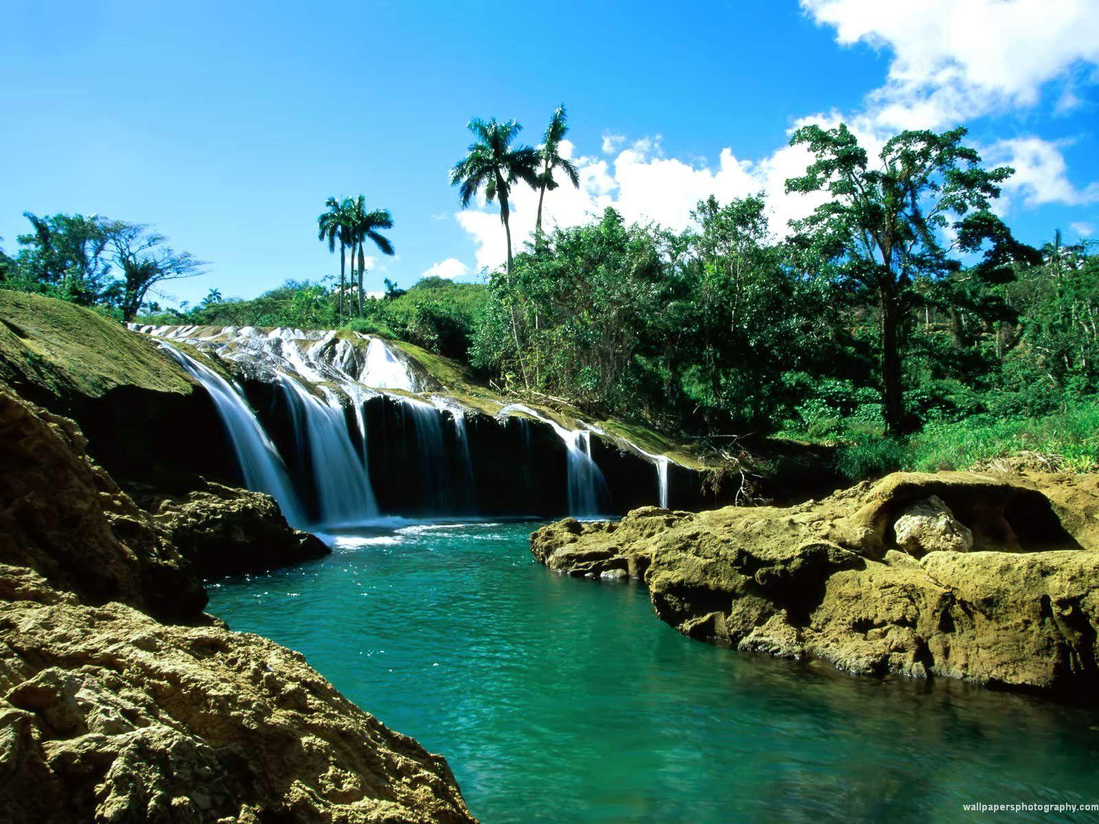 Free Pretty Nature Wallpaper For iPhone
