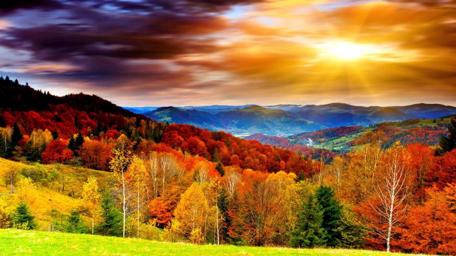 Widescreen Beautiful Scenery Nautre HD Desktop Wallpaper Beautiful