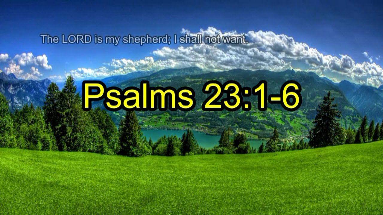 Psalms 23:1 6