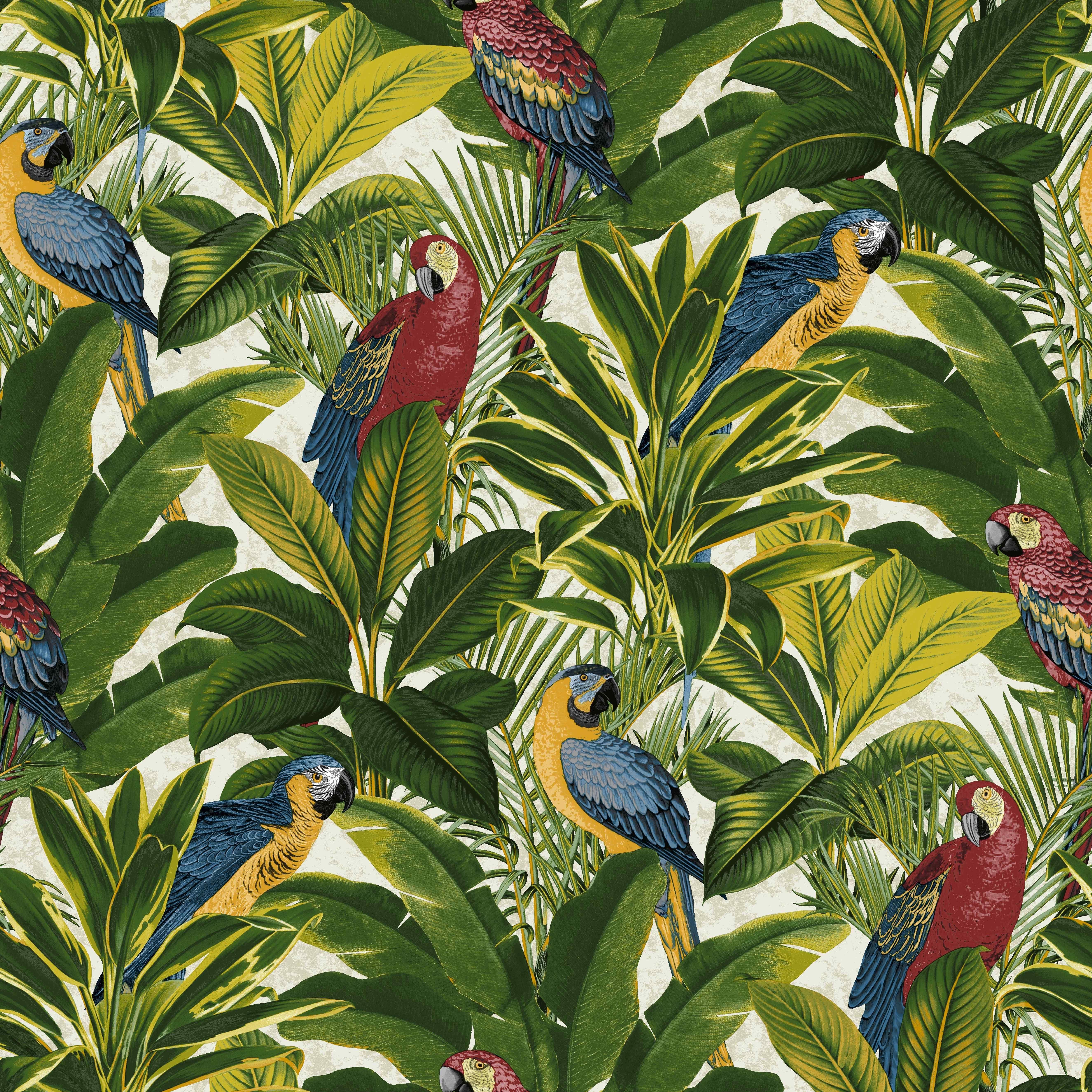Grandeco Ideco Home Exotic Parrots Wallpaper -Red