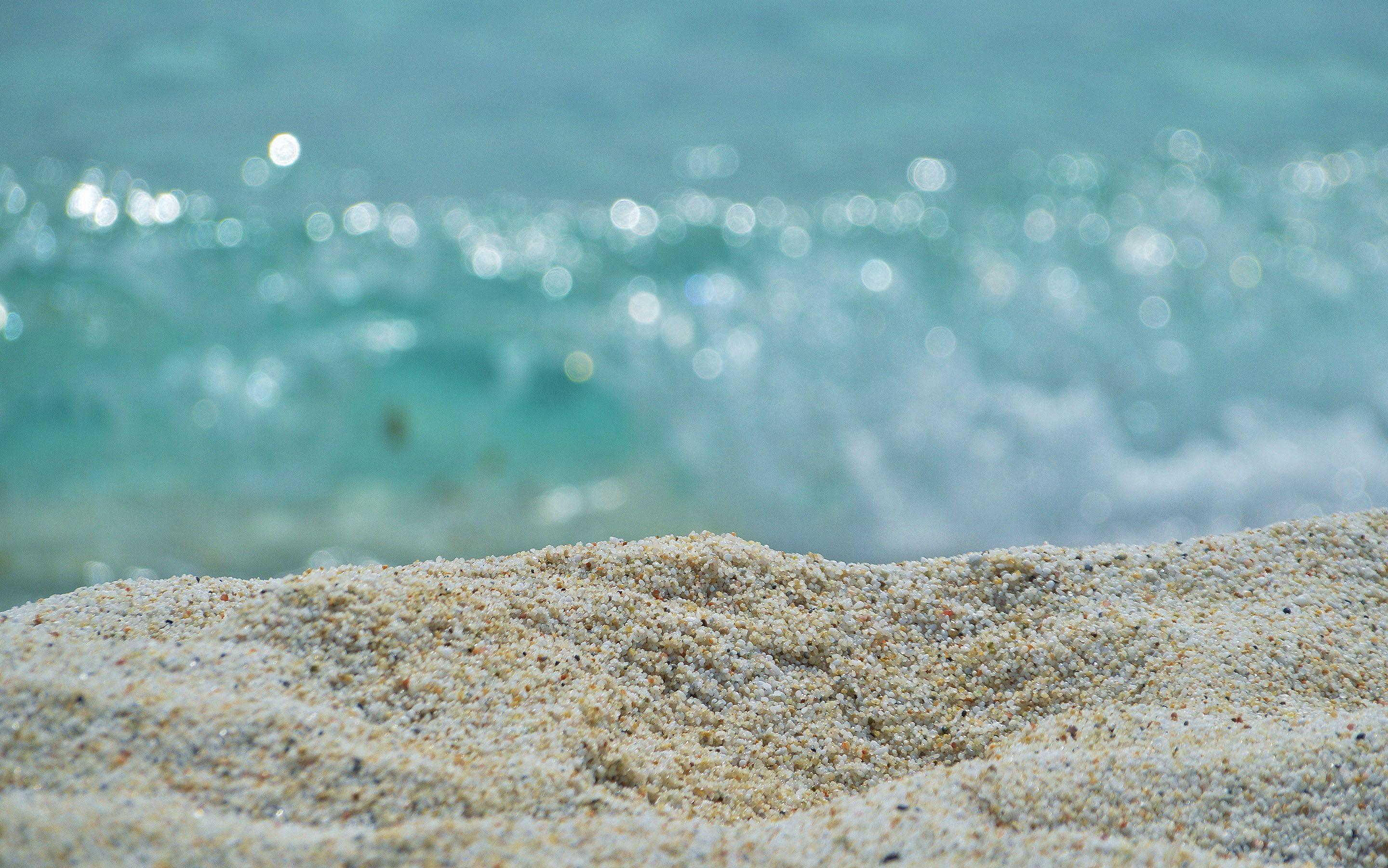 Free Exotic Wallpaper