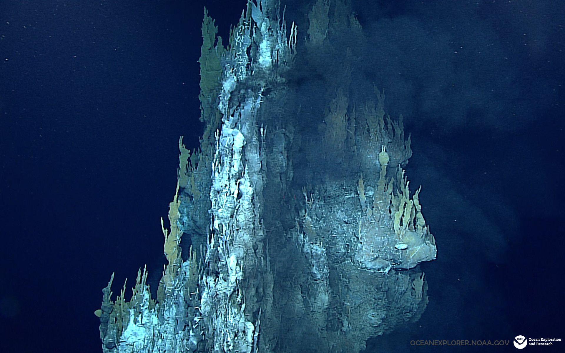 NOAA Ocean Explorer: For Fun: Desktop Wallpaper