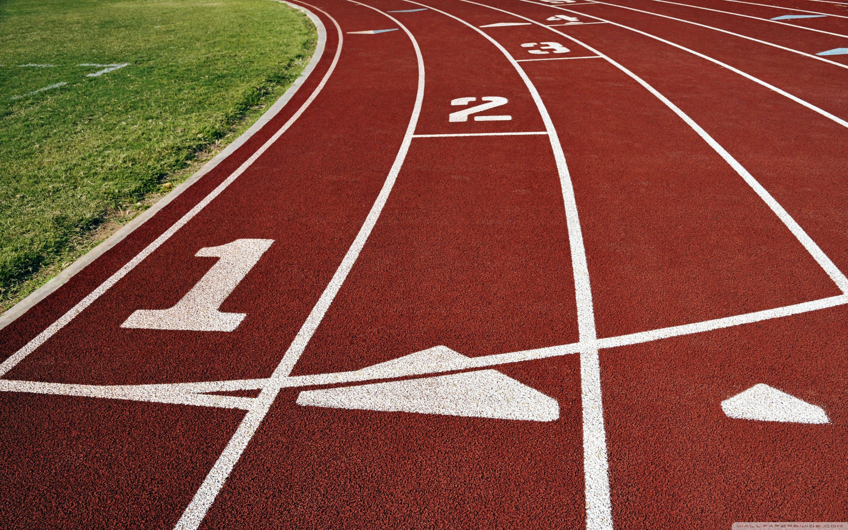 Track And Field Photos Download The BEST Free Track And Field Stock Photos   HD Images