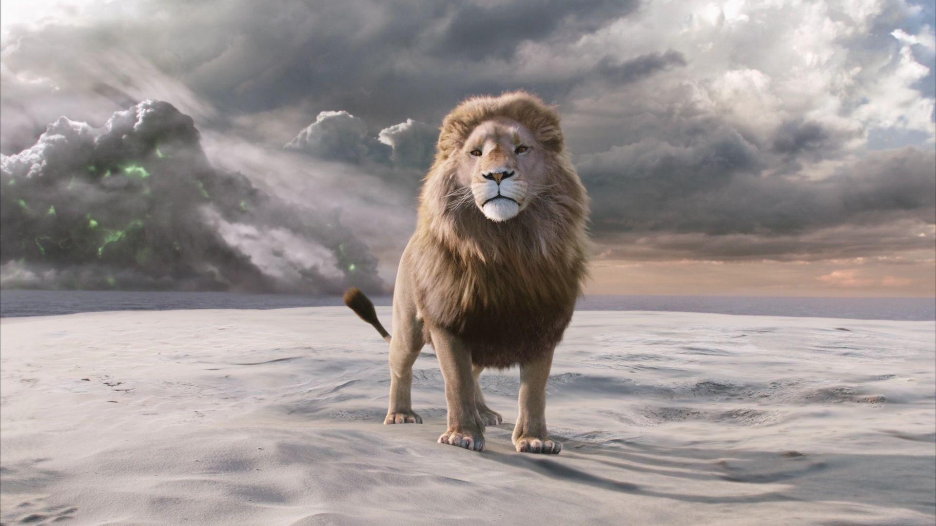 Narnia Aslan Wallpaper