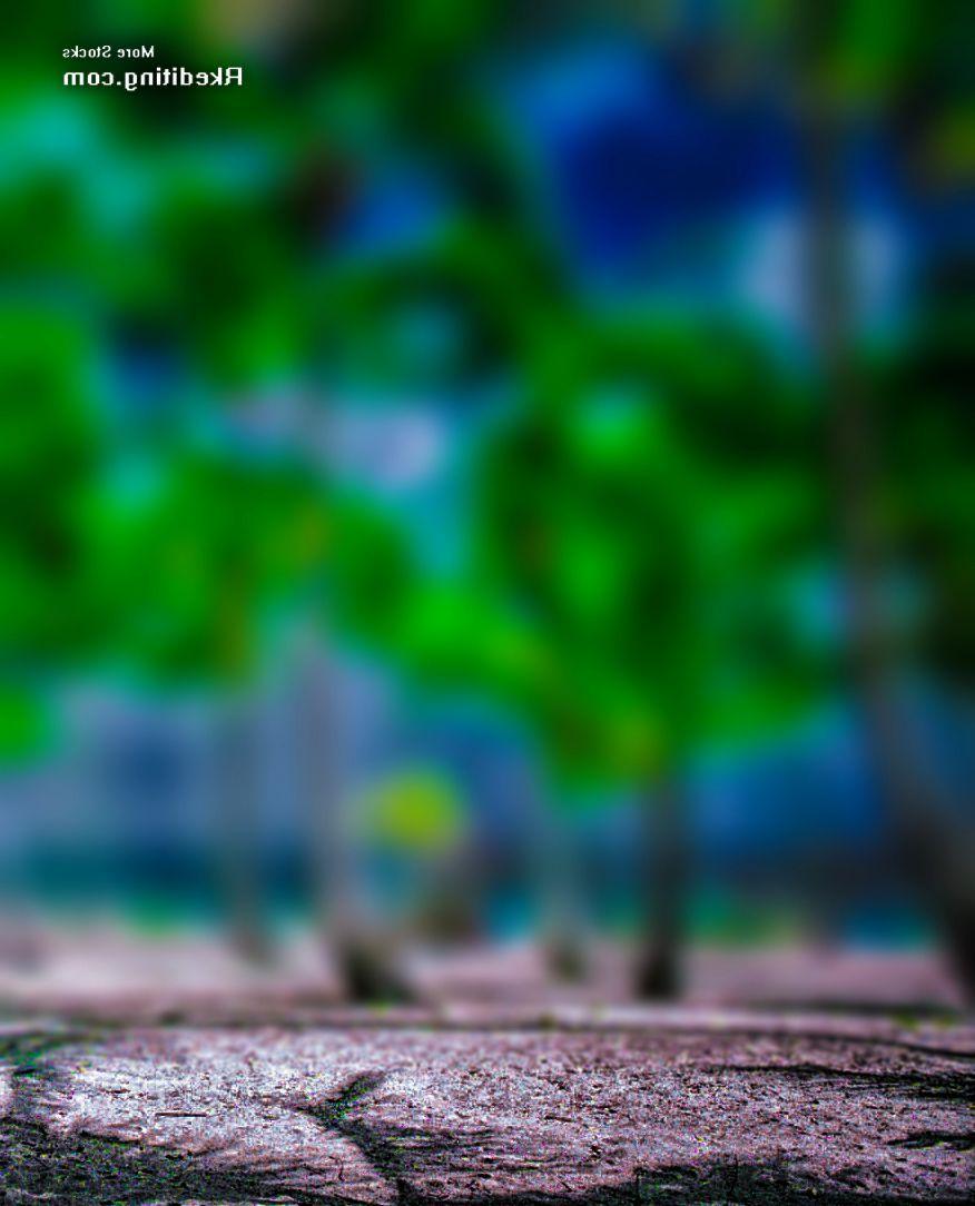 Background HD Image For Photohop Editing. The Garden Inspirations