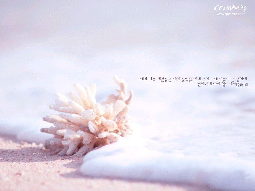 Bible Verse Wallpaper, Picture