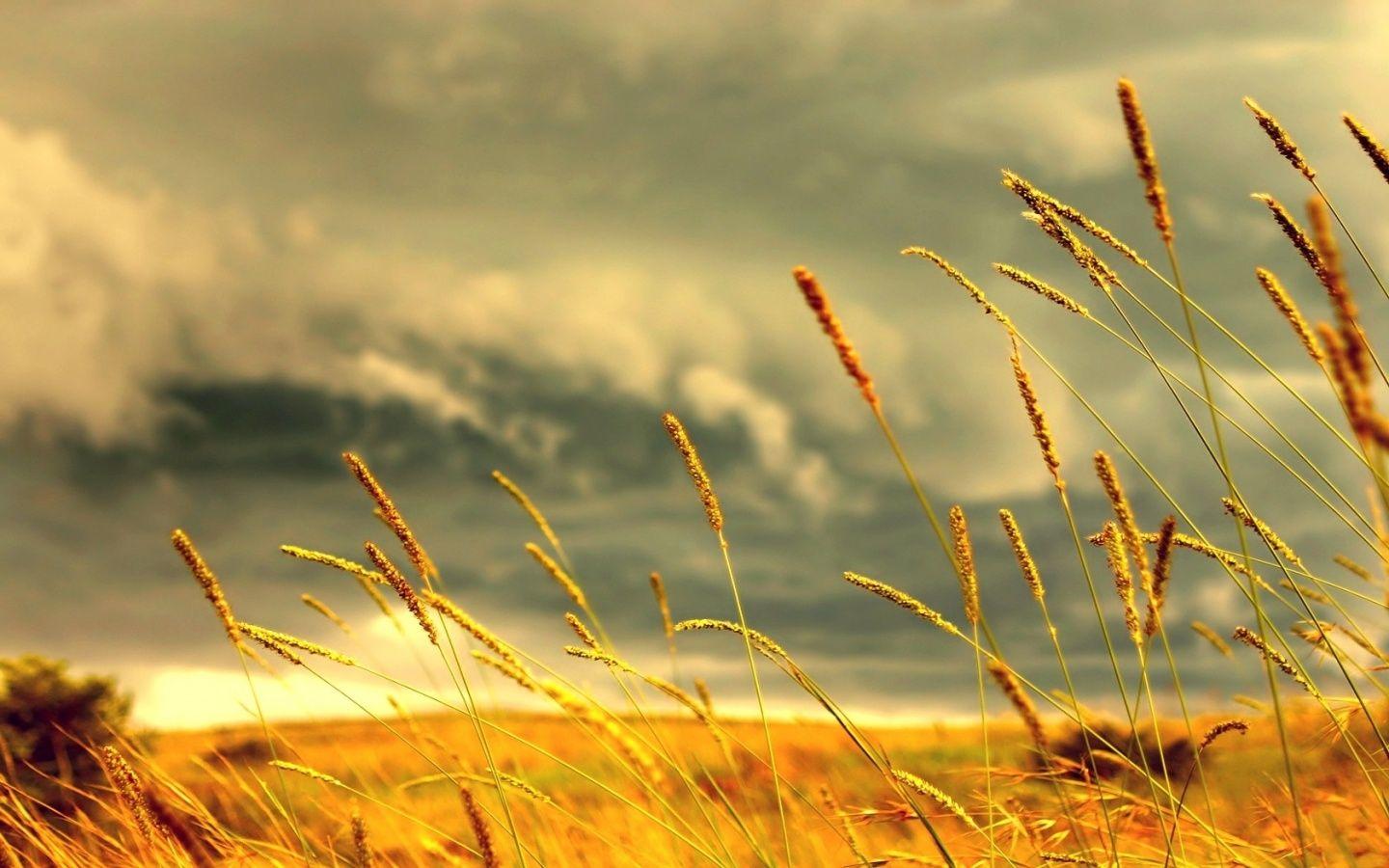 High Definition Collection: Scene Wallpaper, 40 Full HD Scene