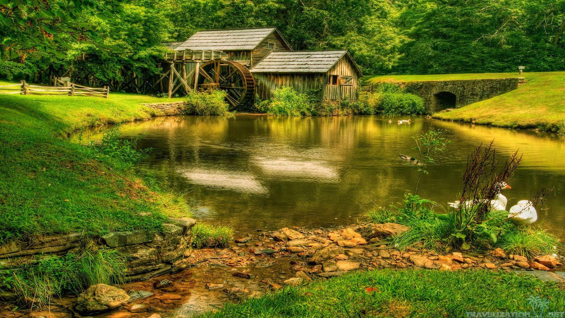 Beautiful scenes wallpaper Gallery