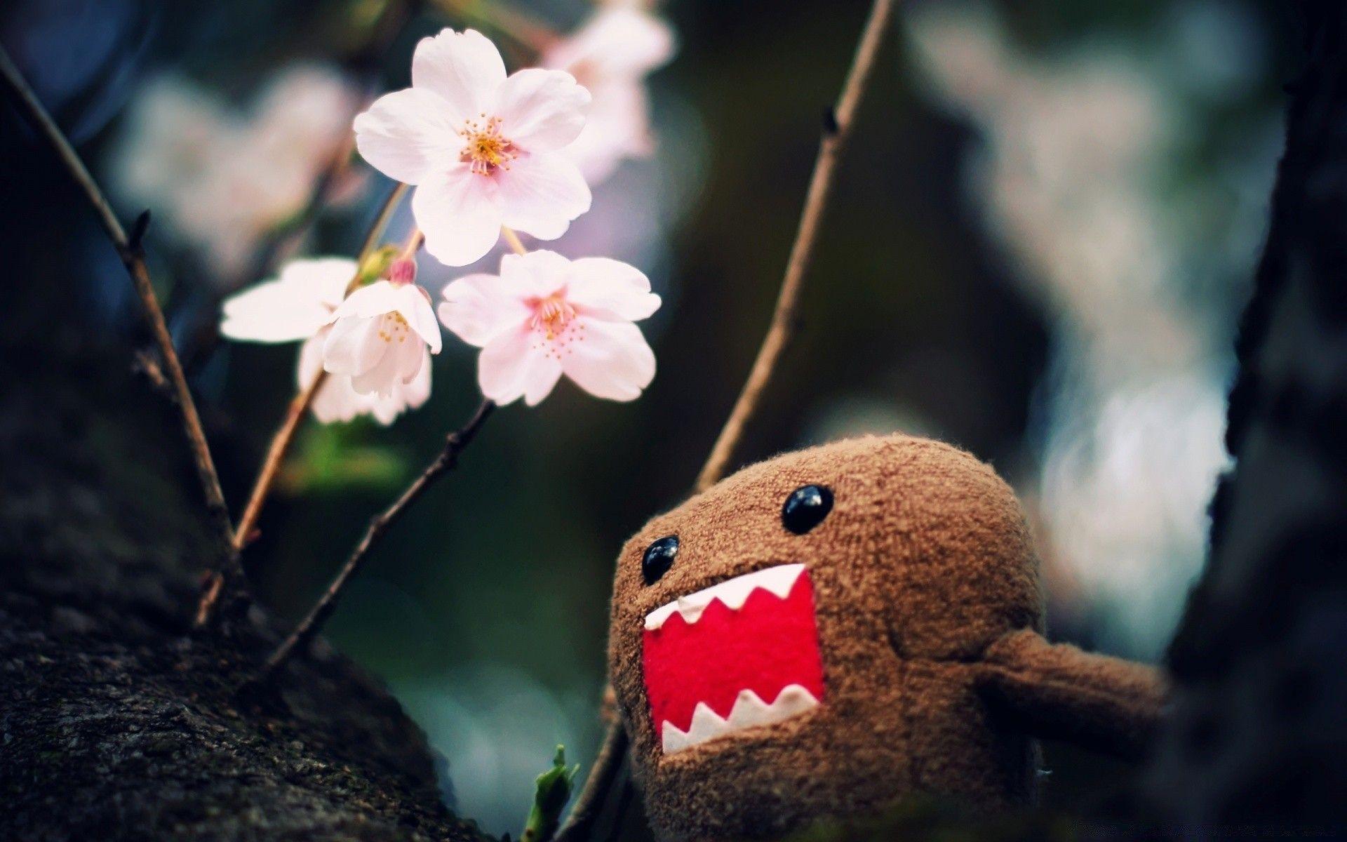 Domo Kun And Tree Blossoms. Android wallpaper for free