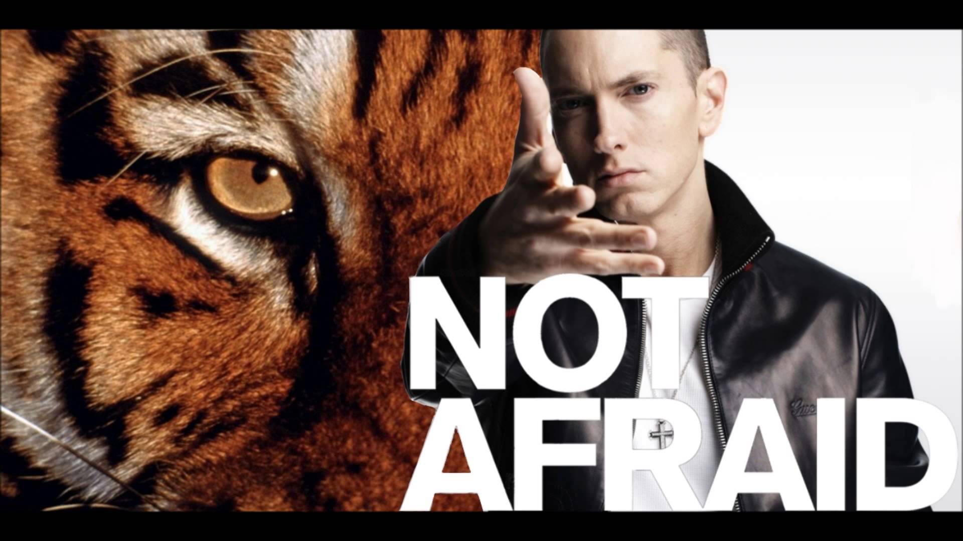 Eye of the Tiger (Eminem Afraid Remix)