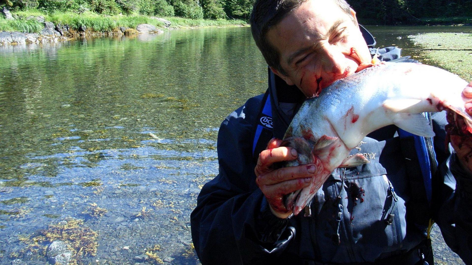 Download Wallpaper 1920x1080 man vs wild, bear grylls, fish