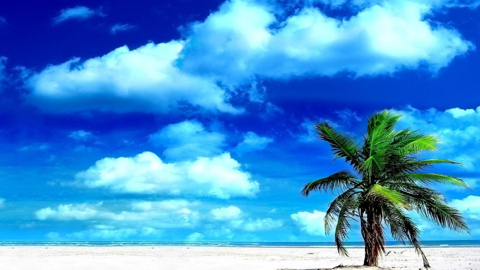 BBEEEE Color wallpaper: Inspiring Perfection Beautiful Nature