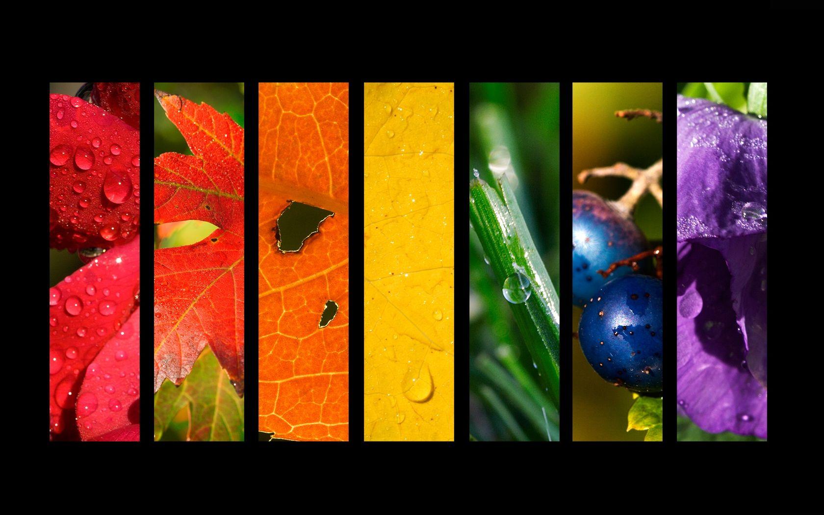 Colors Of Nature Wallpaper, 43 Colors Of Nature Photo and Picture