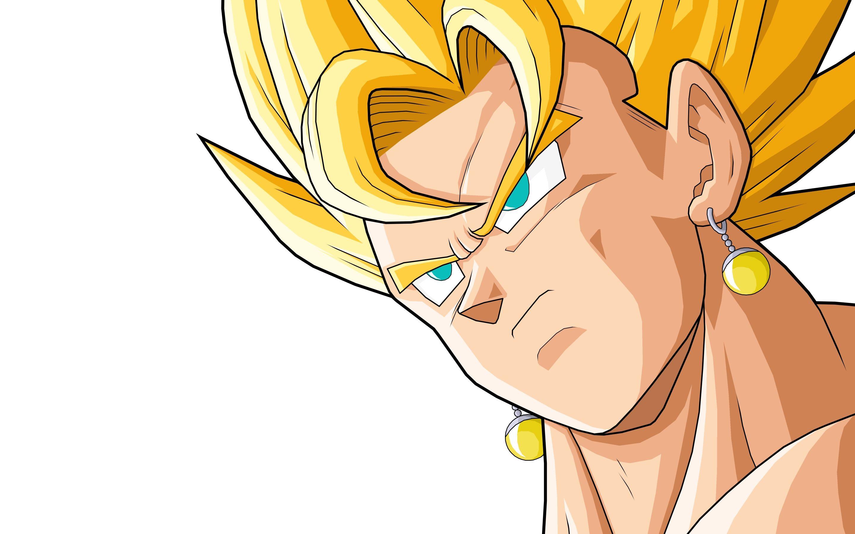 Vegito / Vegetto Dragon Ball Wallpaper 2880x1800