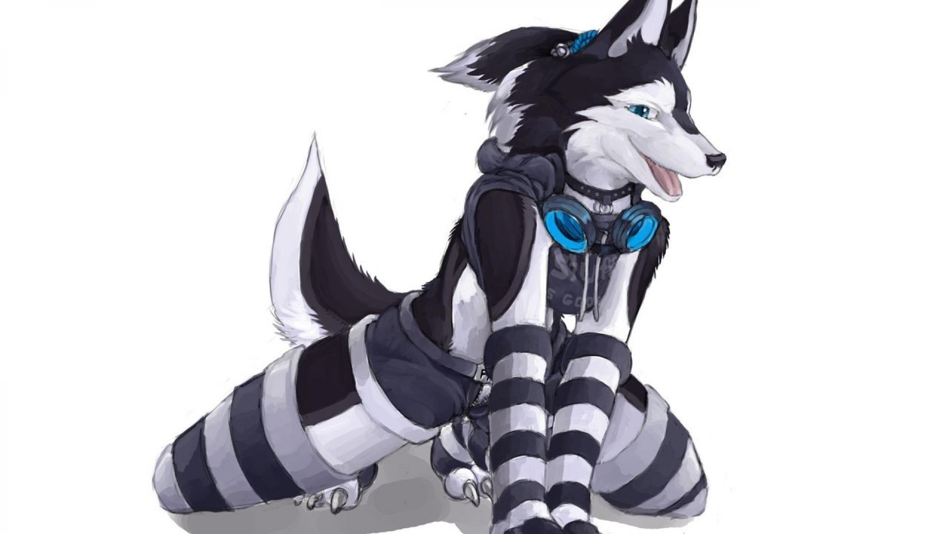 Furry wallpaper Gallery