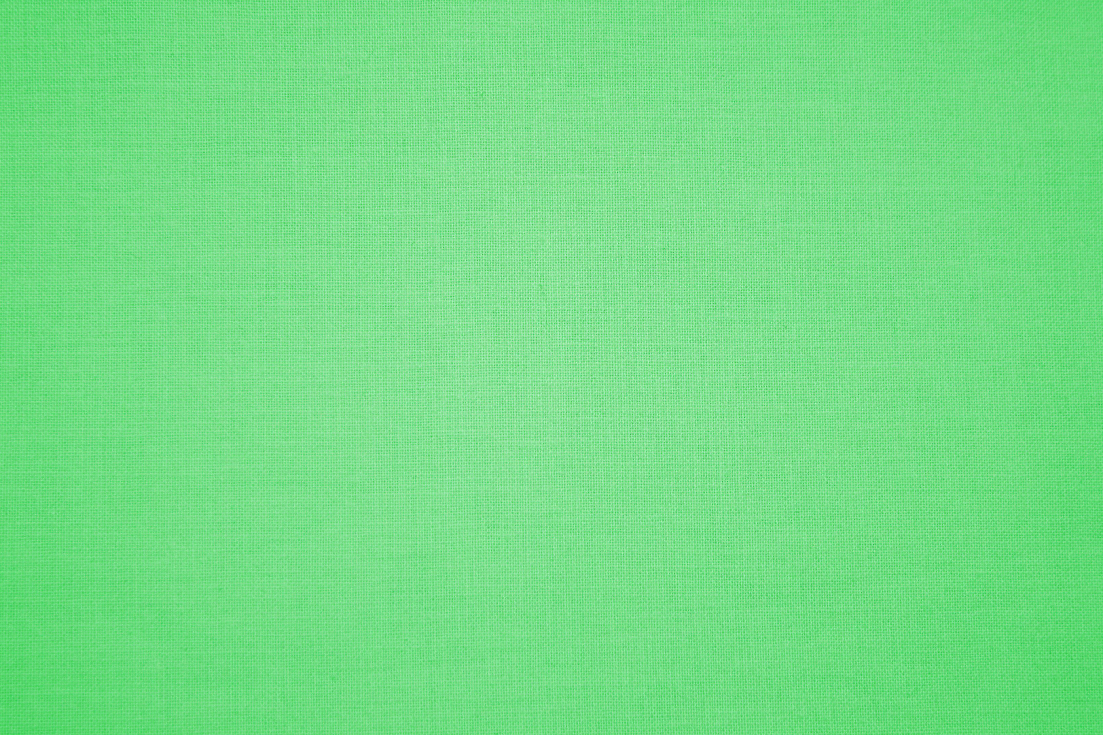6895693 Light Green Background
