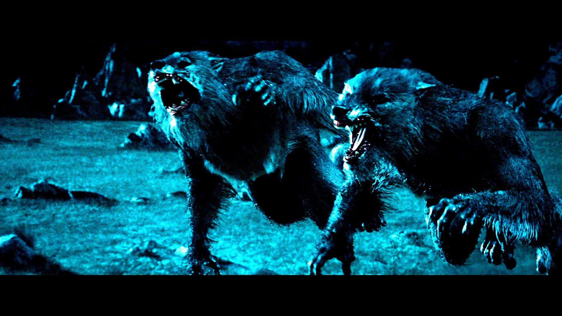 Underworld Werewolf. UNDERWORLD action fantasy thriller dark lycan
