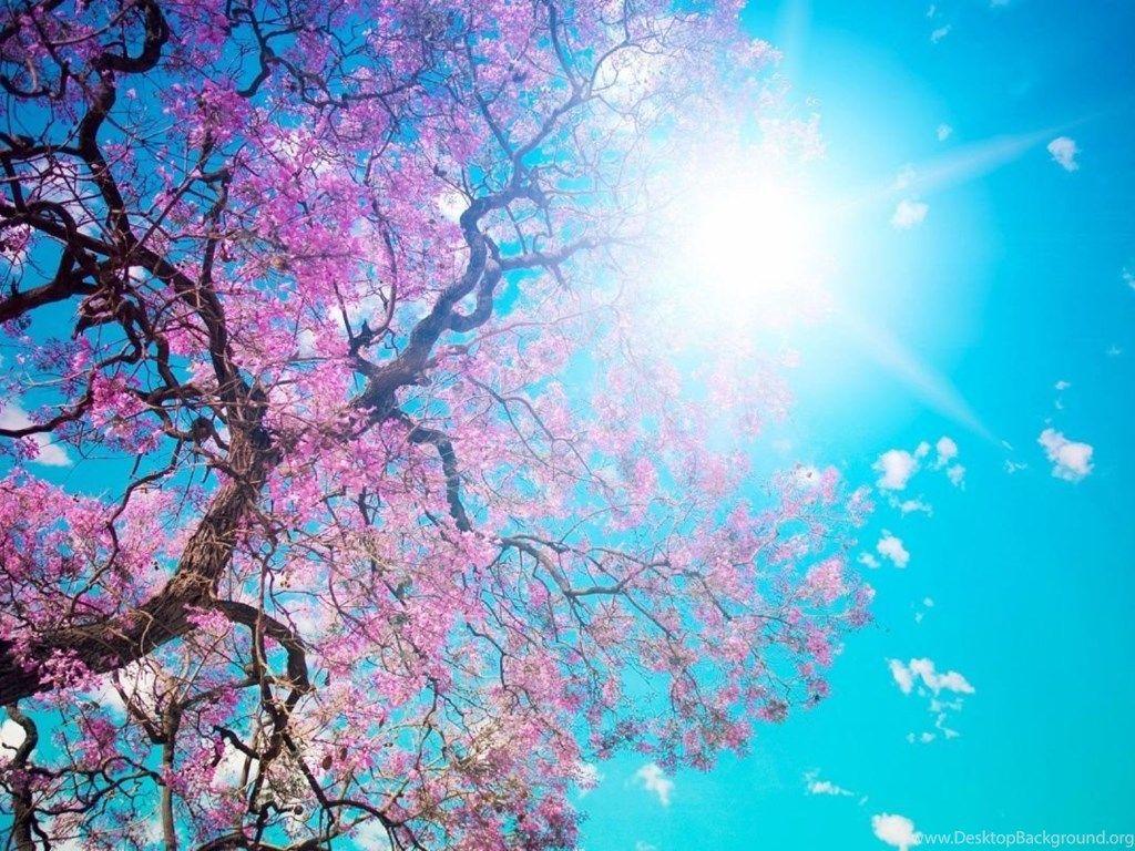 Macbook Pro Desktop Background Nature Wallpaper Desktop Background