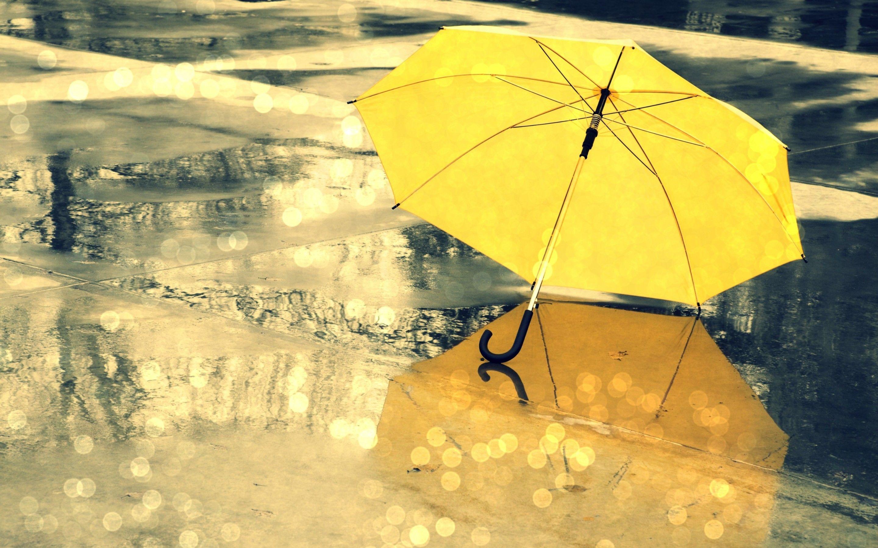 Umbrella High Defination Wallpaper HD Wallpaper