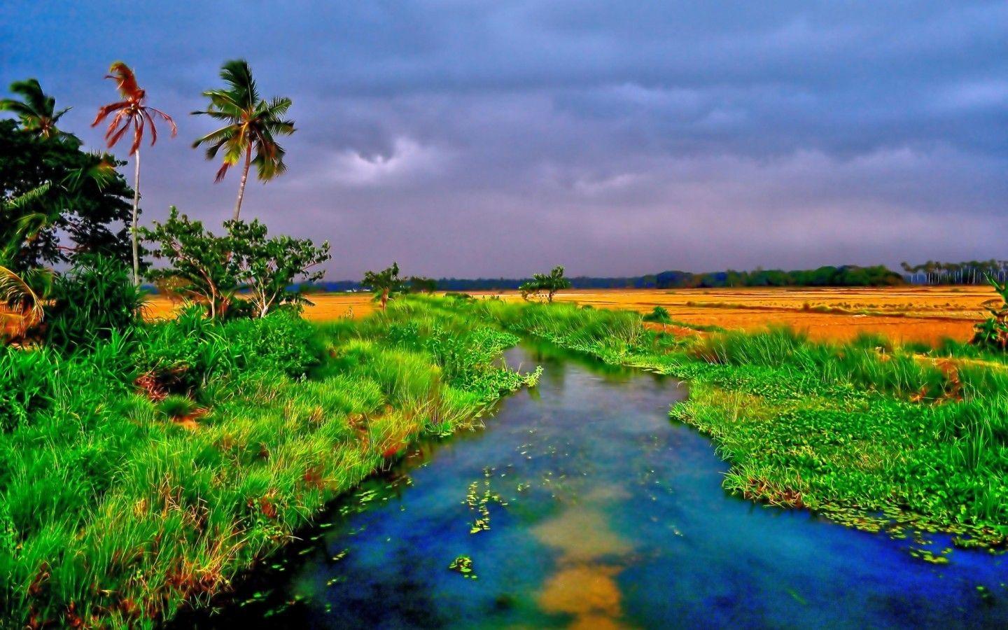 Misc: Beautiful Landscape Grass River Nature Incredible India Full