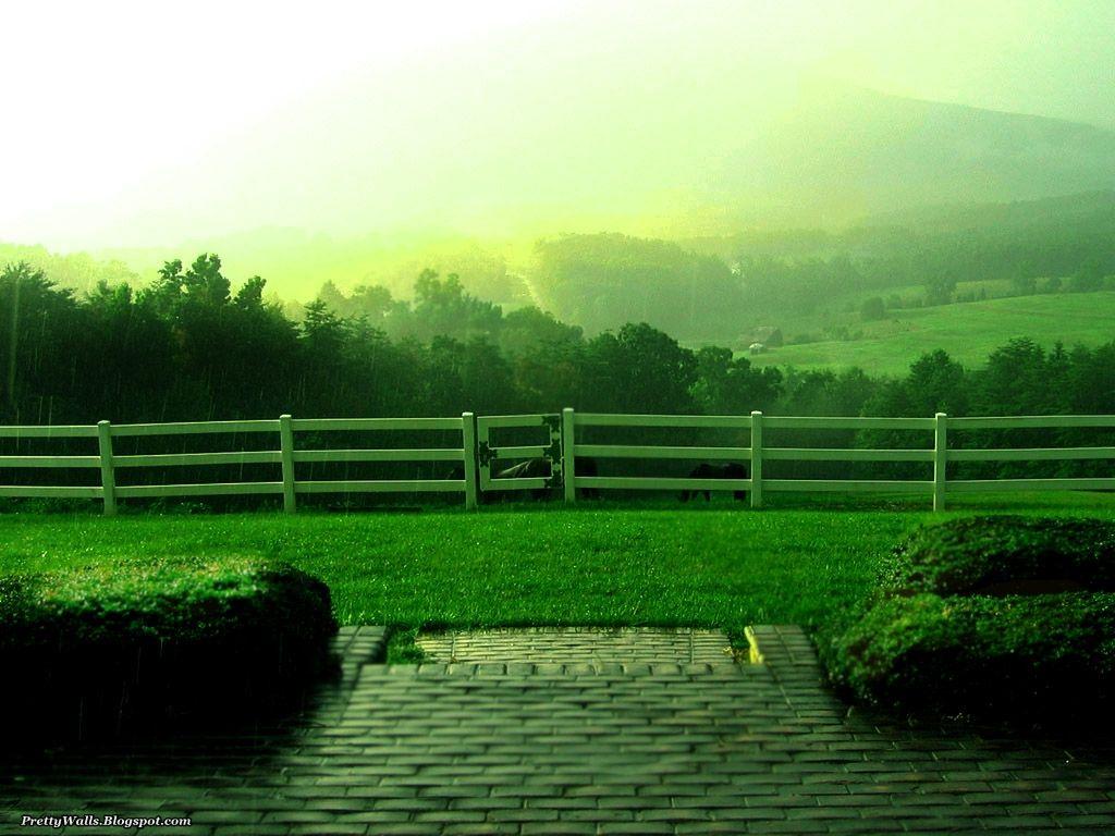 Pretty Walls: Download Amazing Beautiful HD Rainy Wallpaper