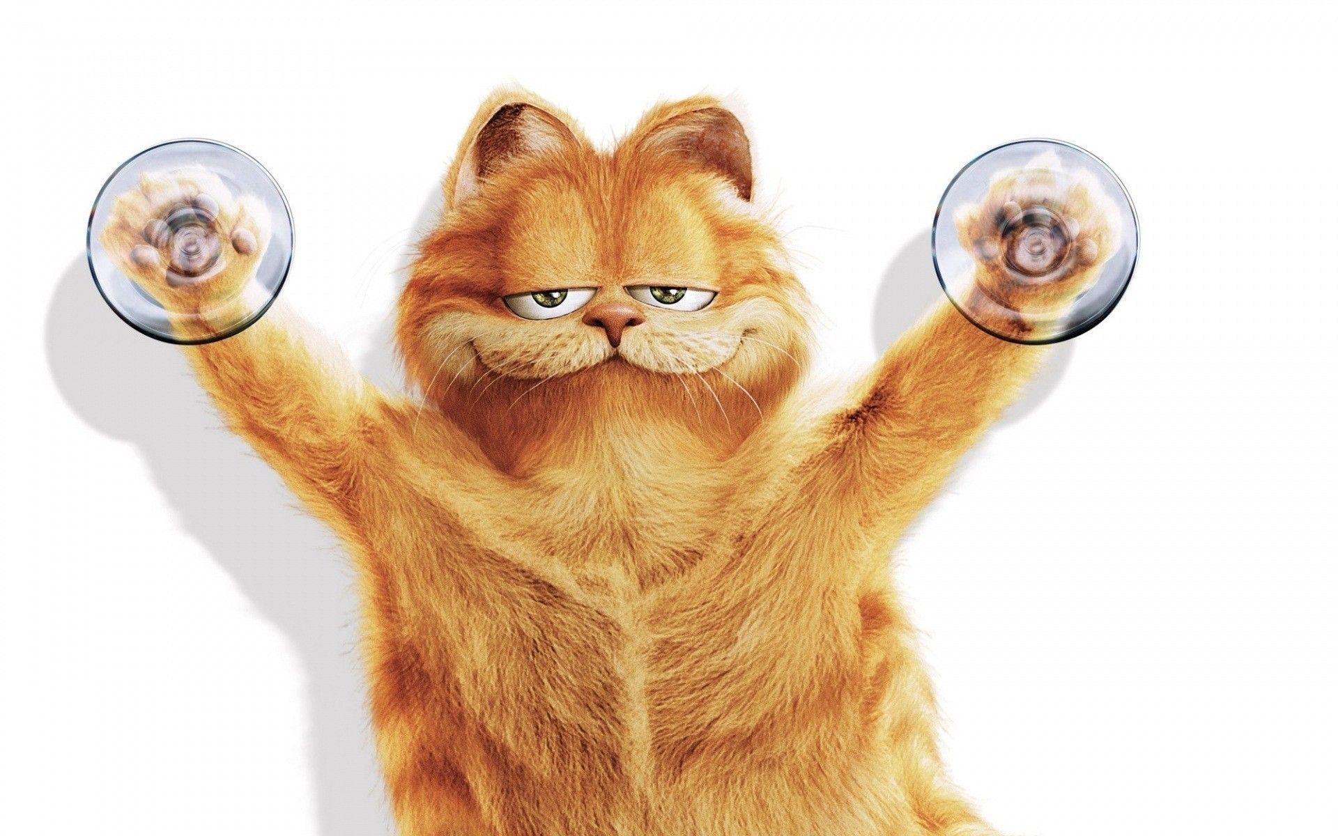 Garfield. Android wallpaper for free