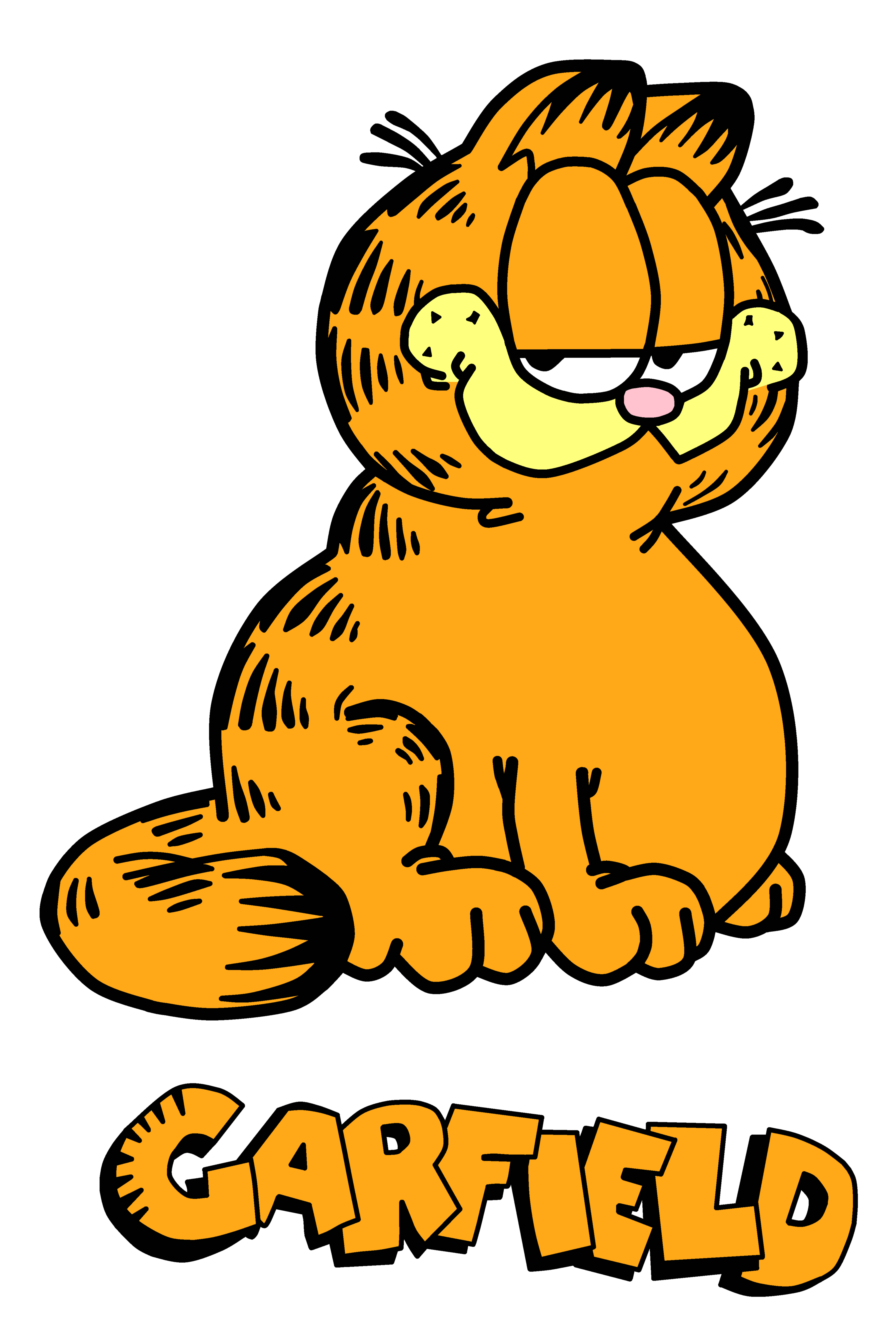 Imagenes De Garfield