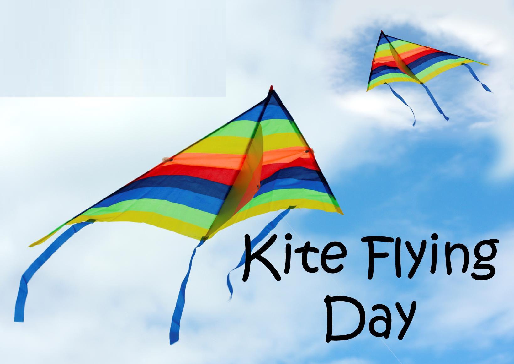 Download 2014 Kites flying day wallpaper