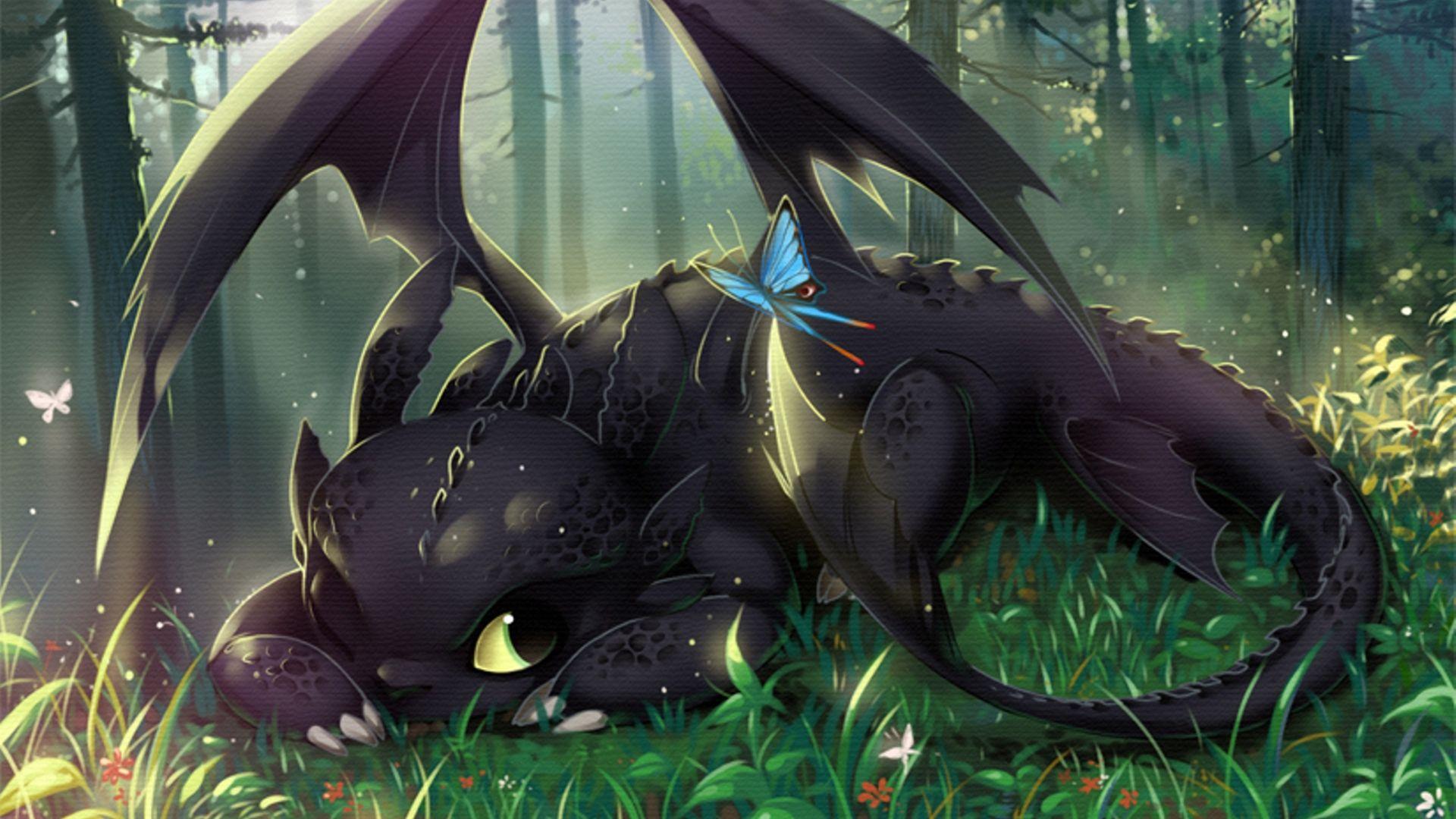 Download the Toothless and Butterfly Wallpaper, Toothless