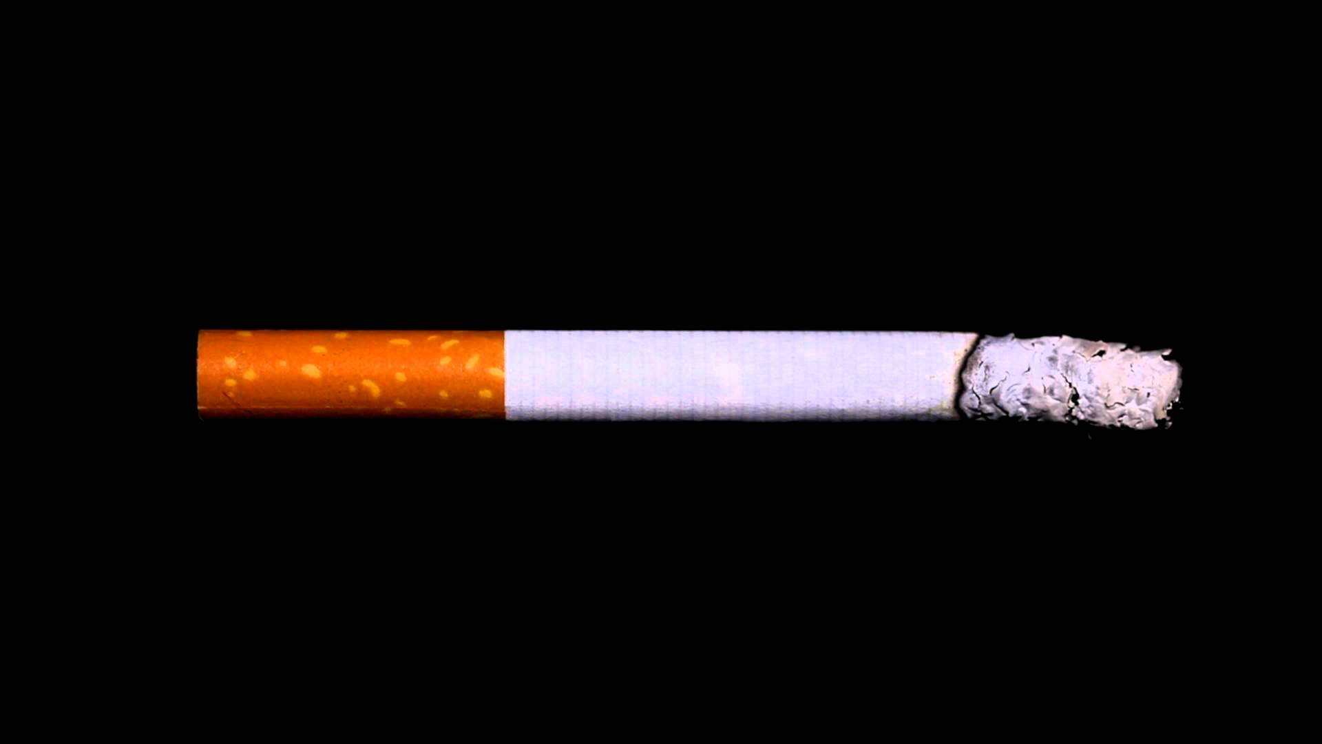 Cigarette Timelapse Burning Down Footage HD 1080p