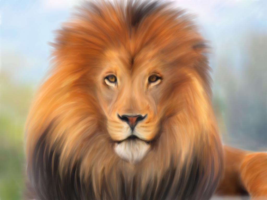 Lion Face Image Desktop Background
